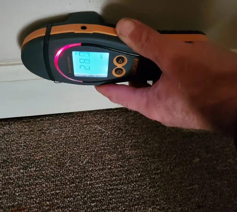 Moisture detection at baseboard during Sewage Cleanup & Sanitation in Golden Hills